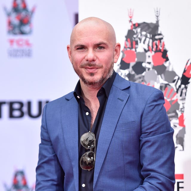 pitbull